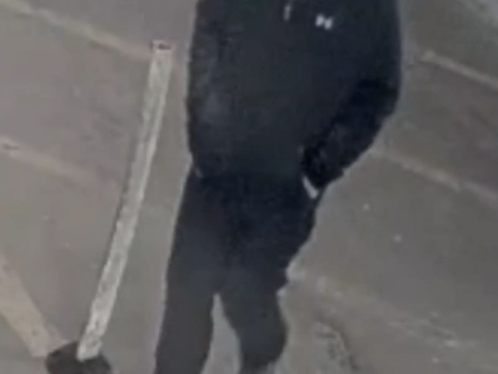 Police seek public’s assistance identifying suspect in vehicle theft ...